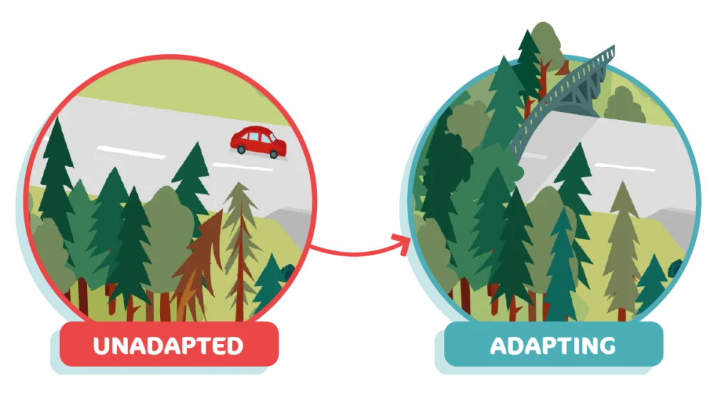 Before and after of a road adapted to help animals and people cross