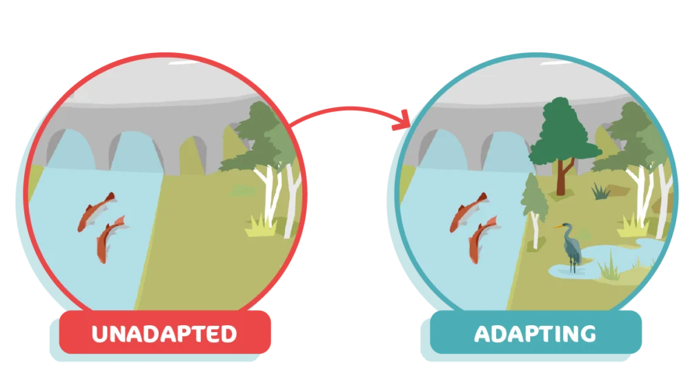 Before and after of a river which has been left to take its natural shape