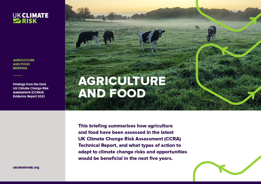 Agriculture and Food Sector Briefing