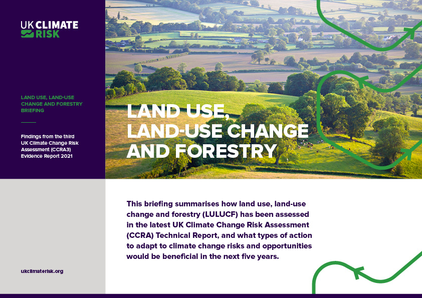 Land Use, Land-Use Change and Forestry Briefing