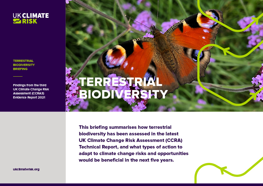 Terrestrial Biodiversity Briefing