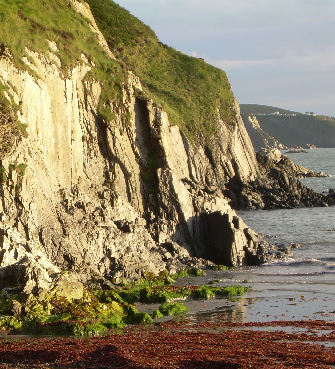 Looking up at cliffs along the coast in the UK from a seaweed covered part of a beach
