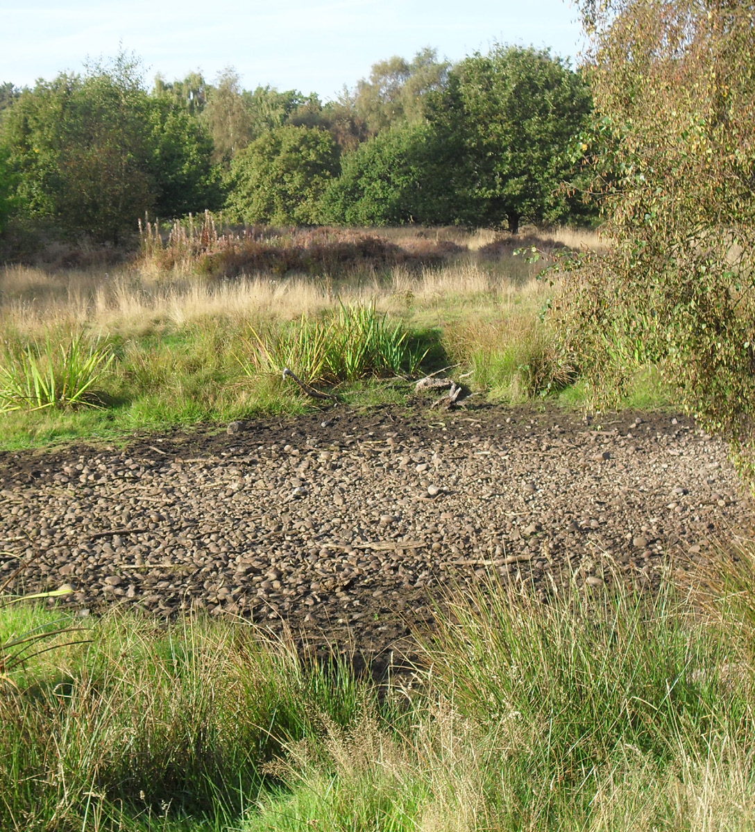 The dried up bed of a stream in the countryside during a drought