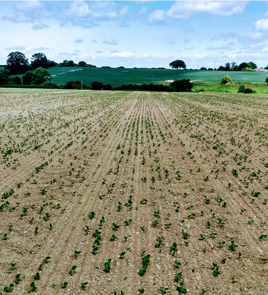 Drought fields KB