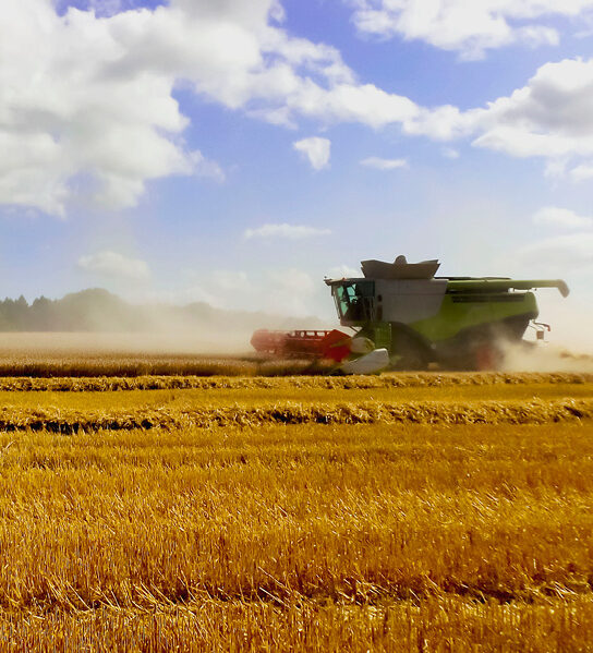 Farming iStock