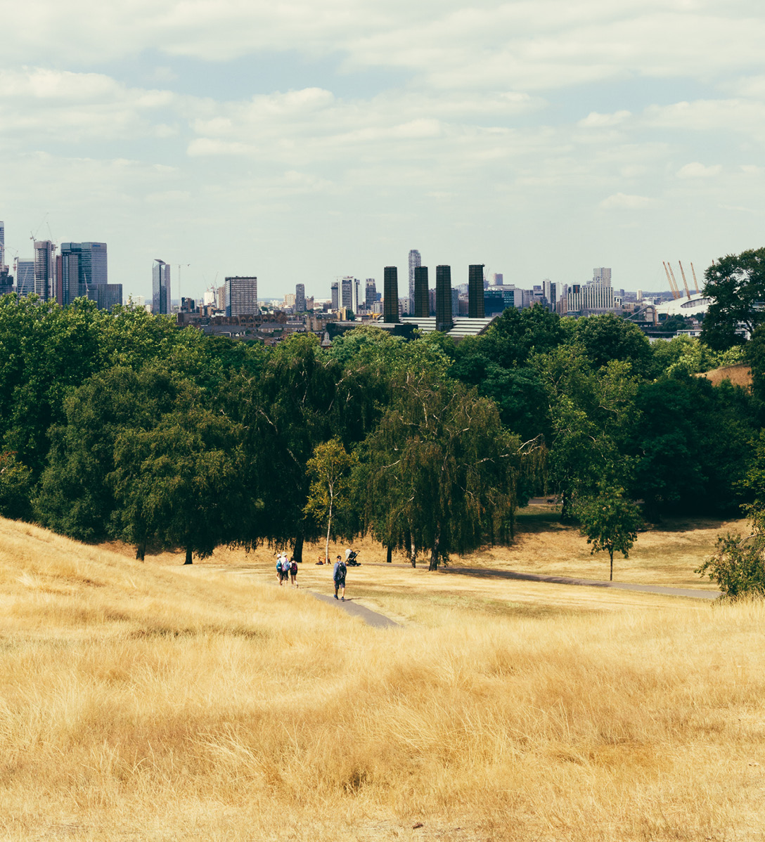 A green space in London in the summer with very  dry yellow grass