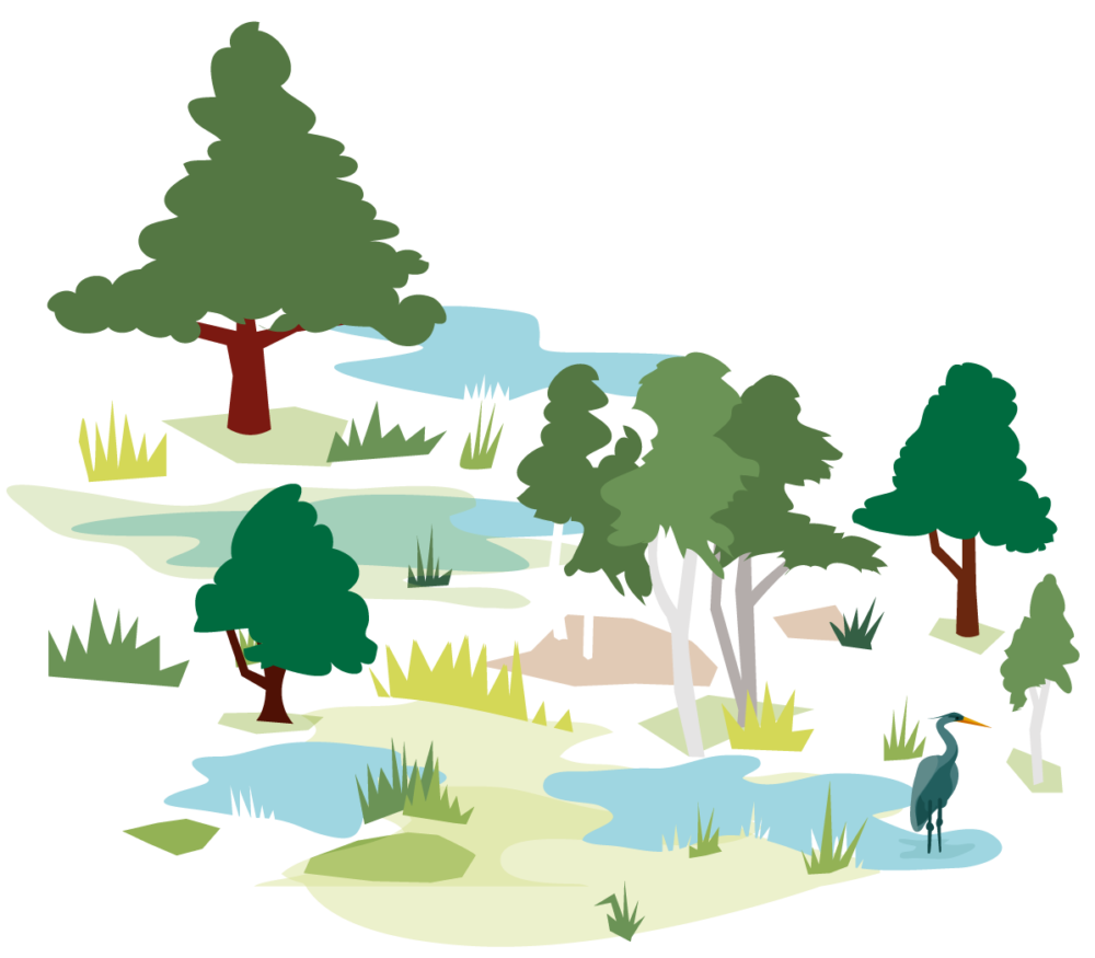 Marshland with a Heron