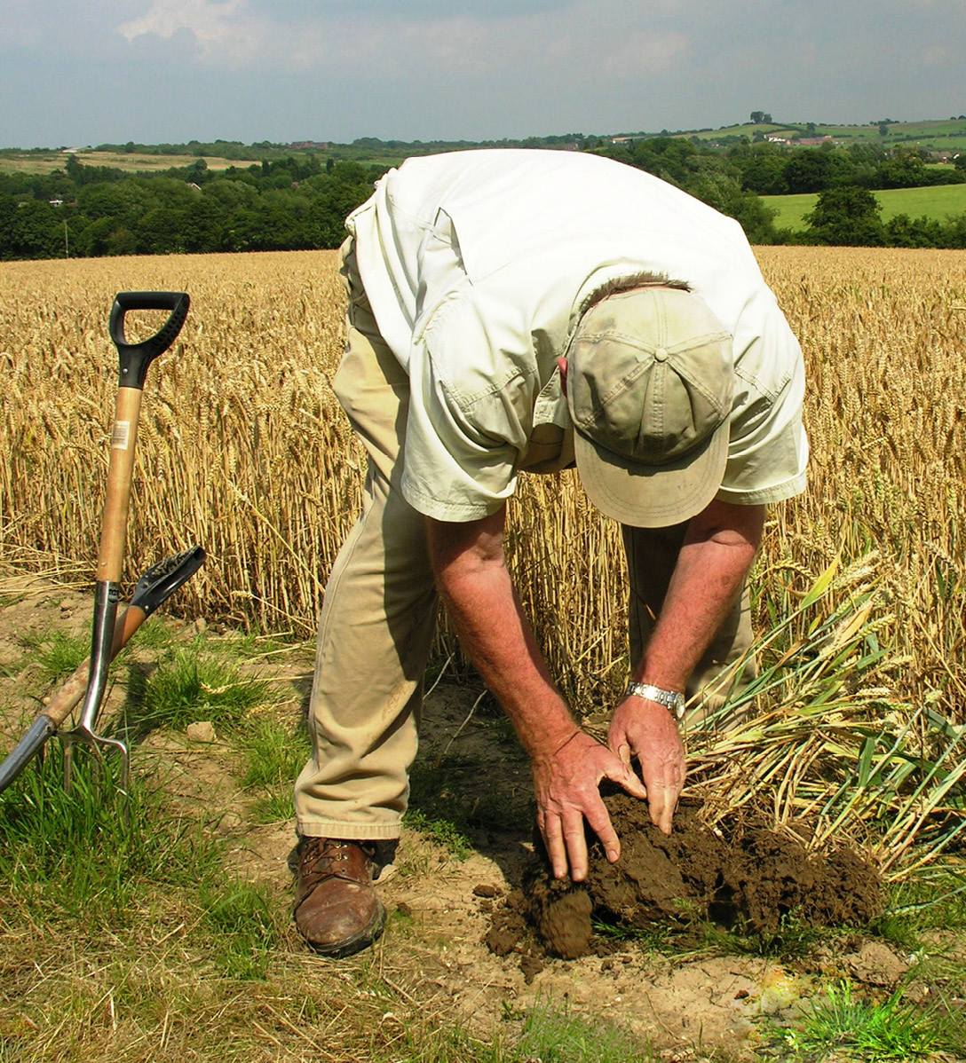 A man bending down examining soil that he has dug up at the side of a barley field