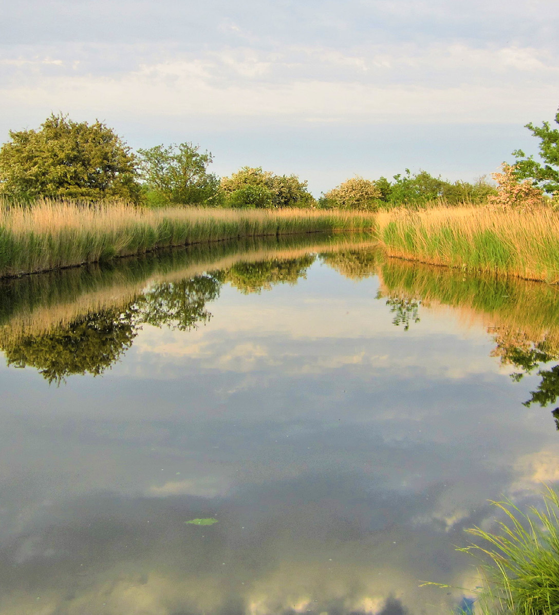 A waterway in the Norfolk Broads