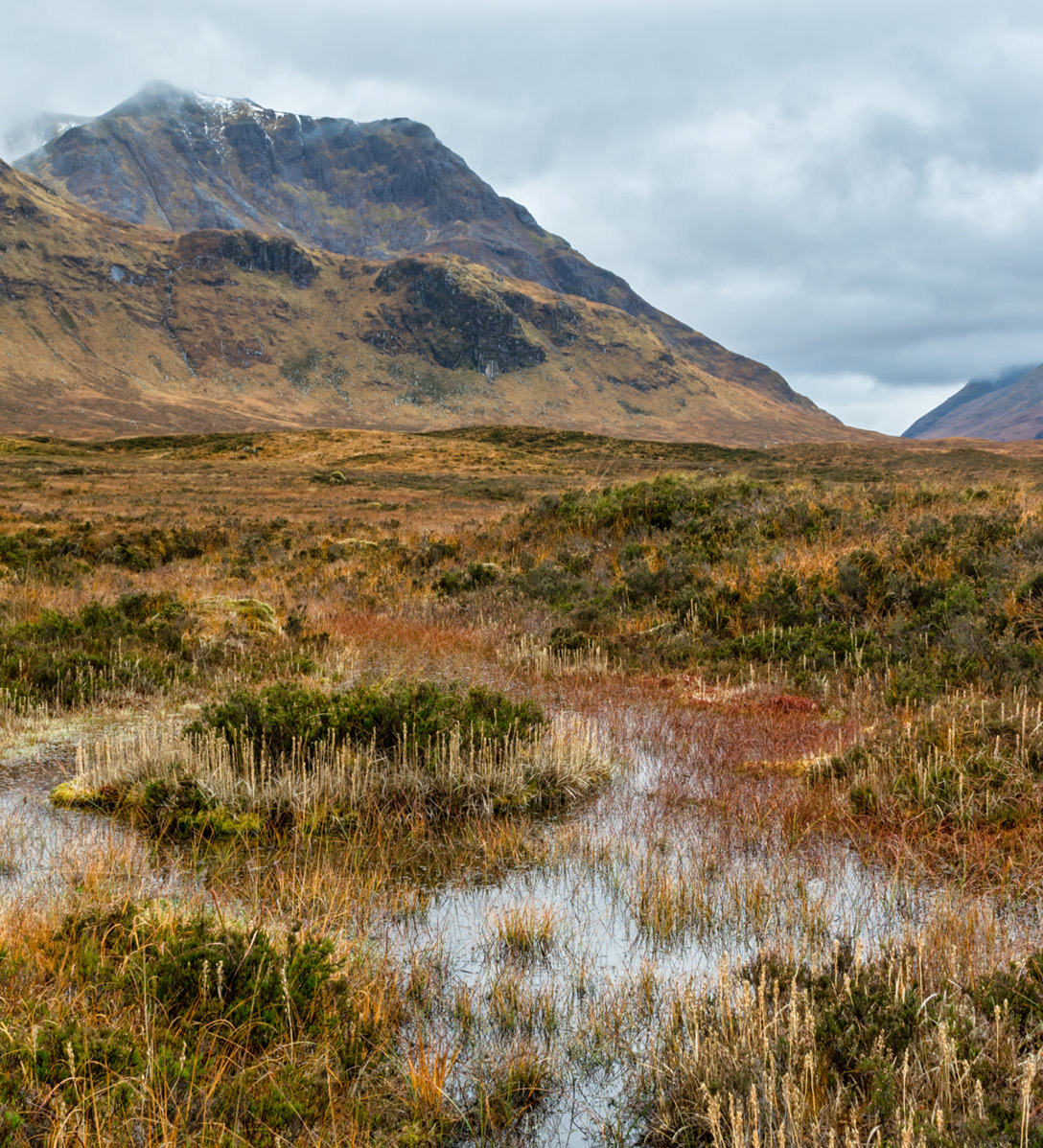 A waterlogged area of heather the foot of some mountains