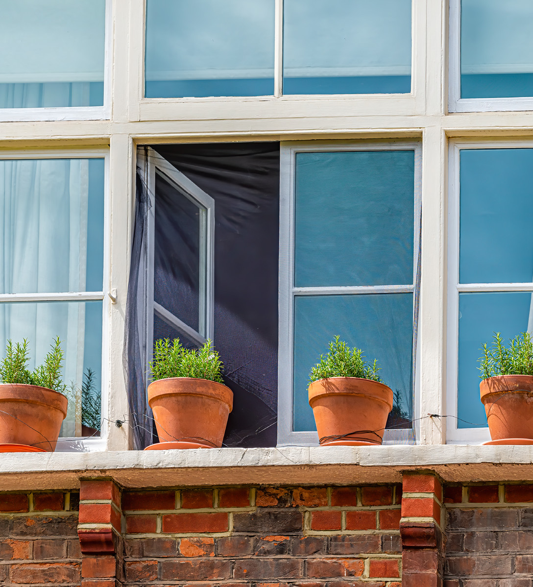 Looking at a window in a red brick building from outside which has 4 pots of herbs growing outside on the windowsill