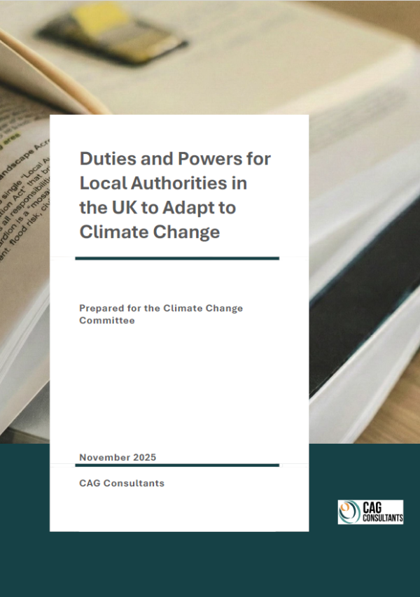 Local authorities duties report